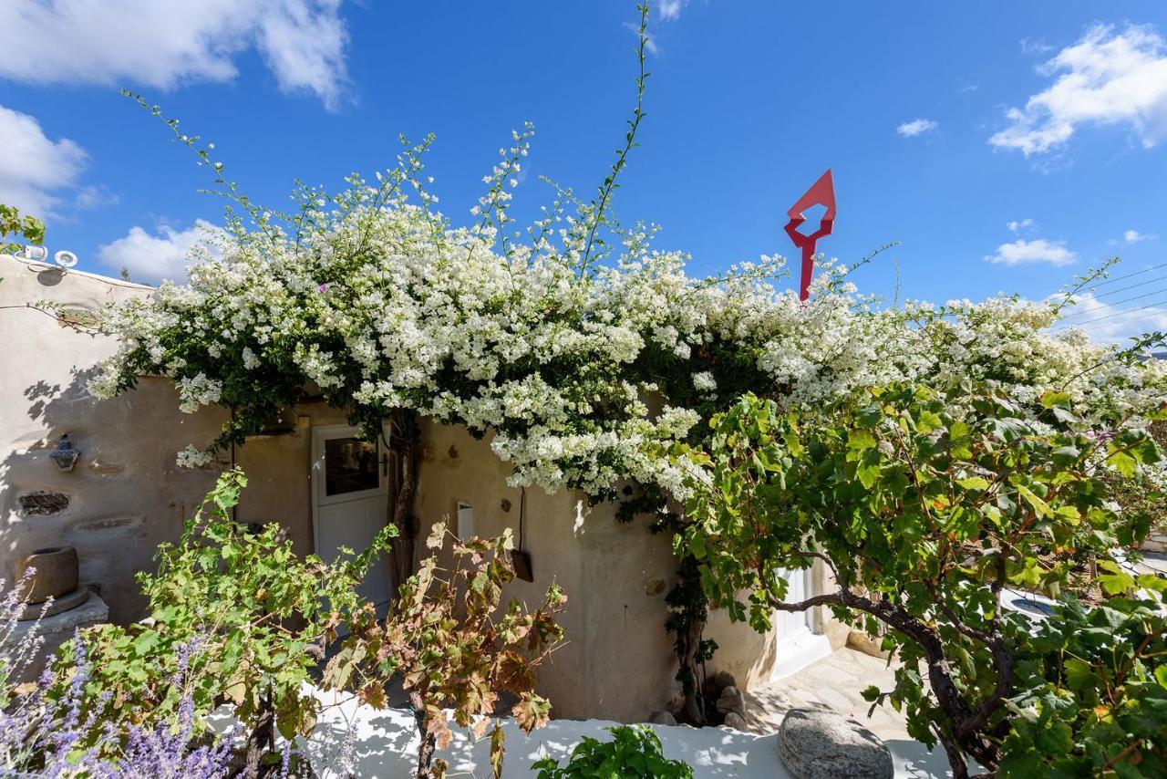 The Olive Mill Guest House Lefkes  Exterior foto